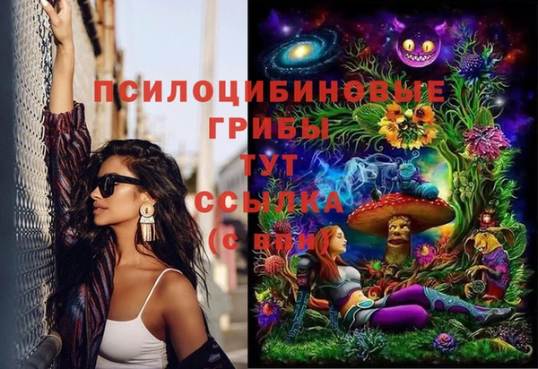 мдпв Бугульма