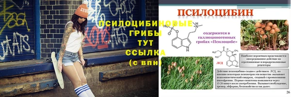 мдпв Бугульма